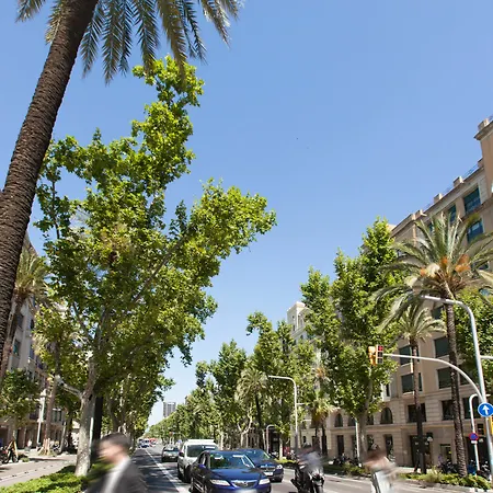 Apartment Rent Aparments Diagonal-aribau